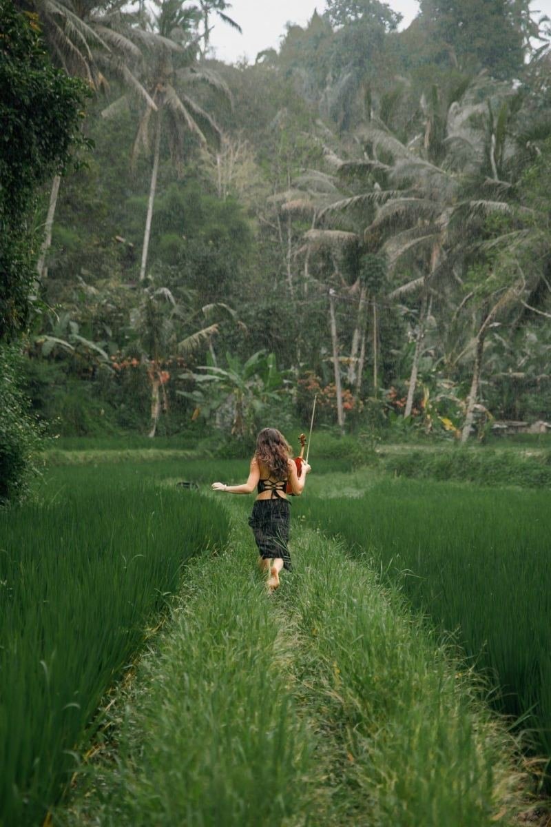 Person running through a rice field